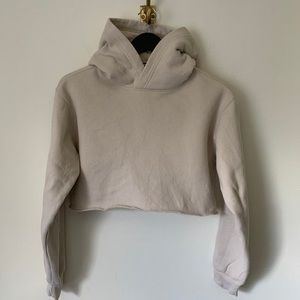 Taupe cropped hoodie from aritzia